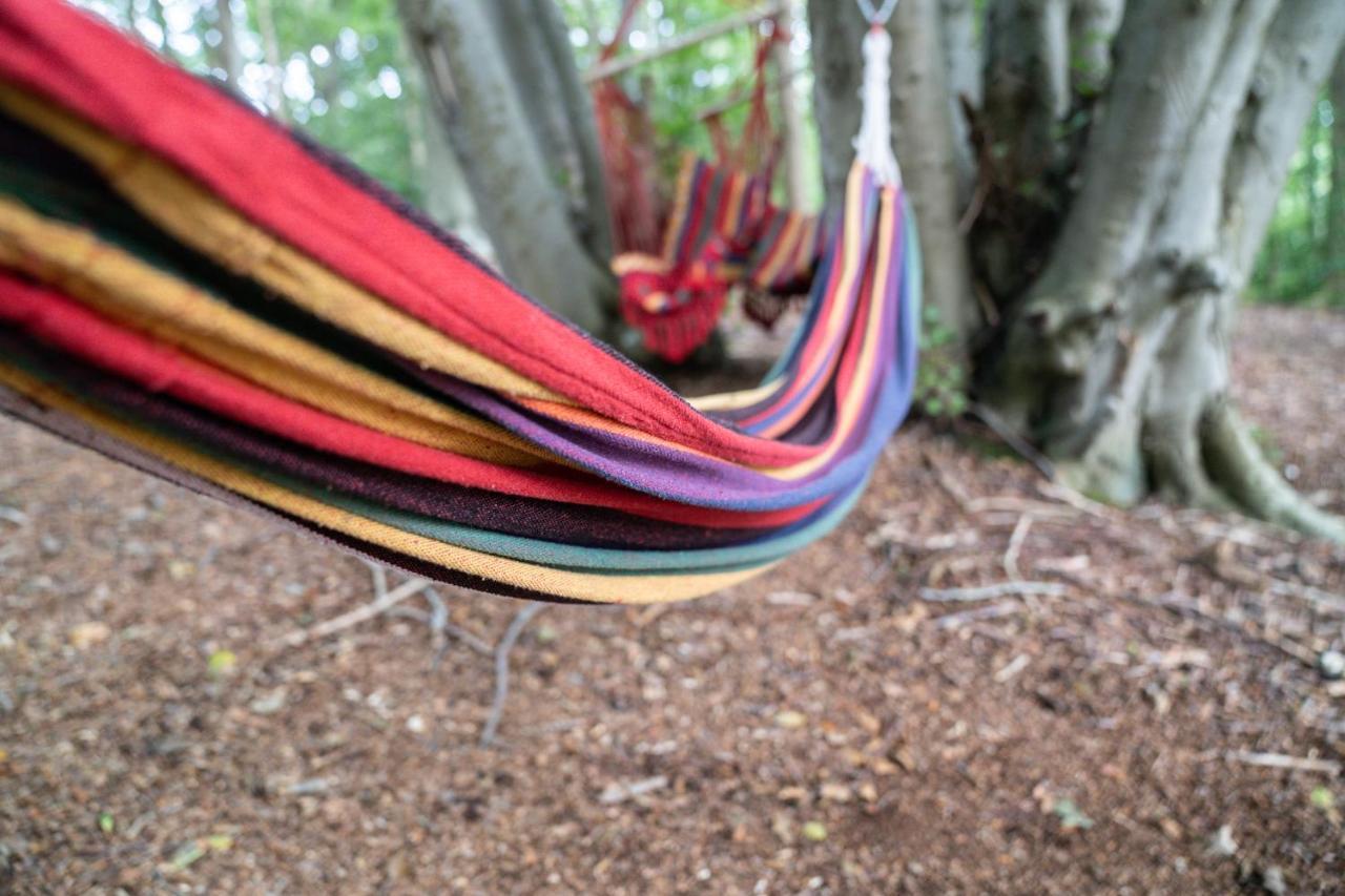 Gite Calypso De 14 Personnes Fecamp Etretat Colleville Exteriör bild